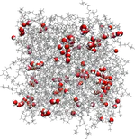 LIPhy's photo exhibition